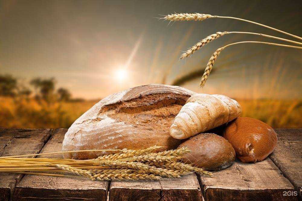 Отзывы на компанию Свое хозяйство в г. Саратов c фото