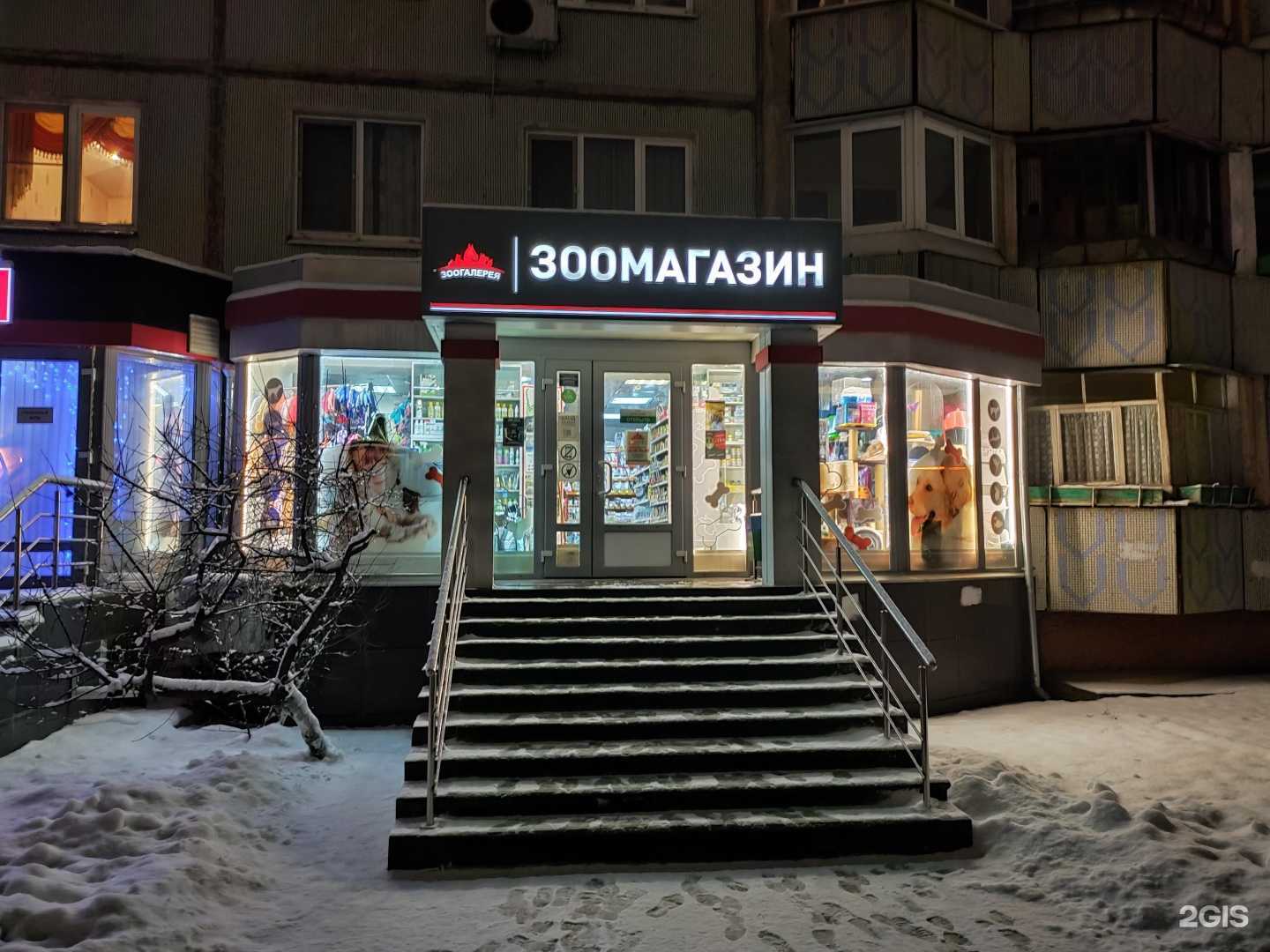 Отзывы на компанию Зоогалерея 71 в Туле c фото