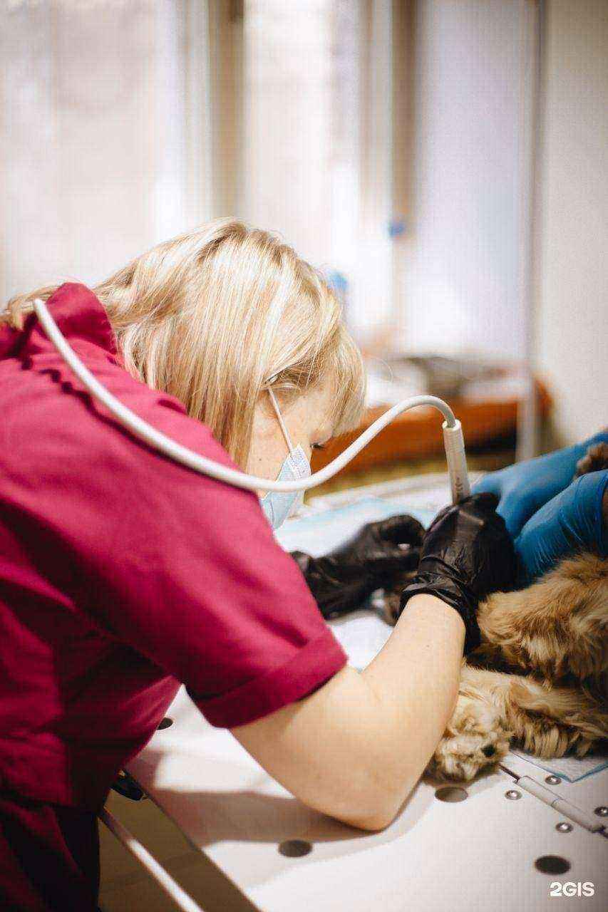 Отзывы на компанию Рыжий Кот в г. Ижевск c фото