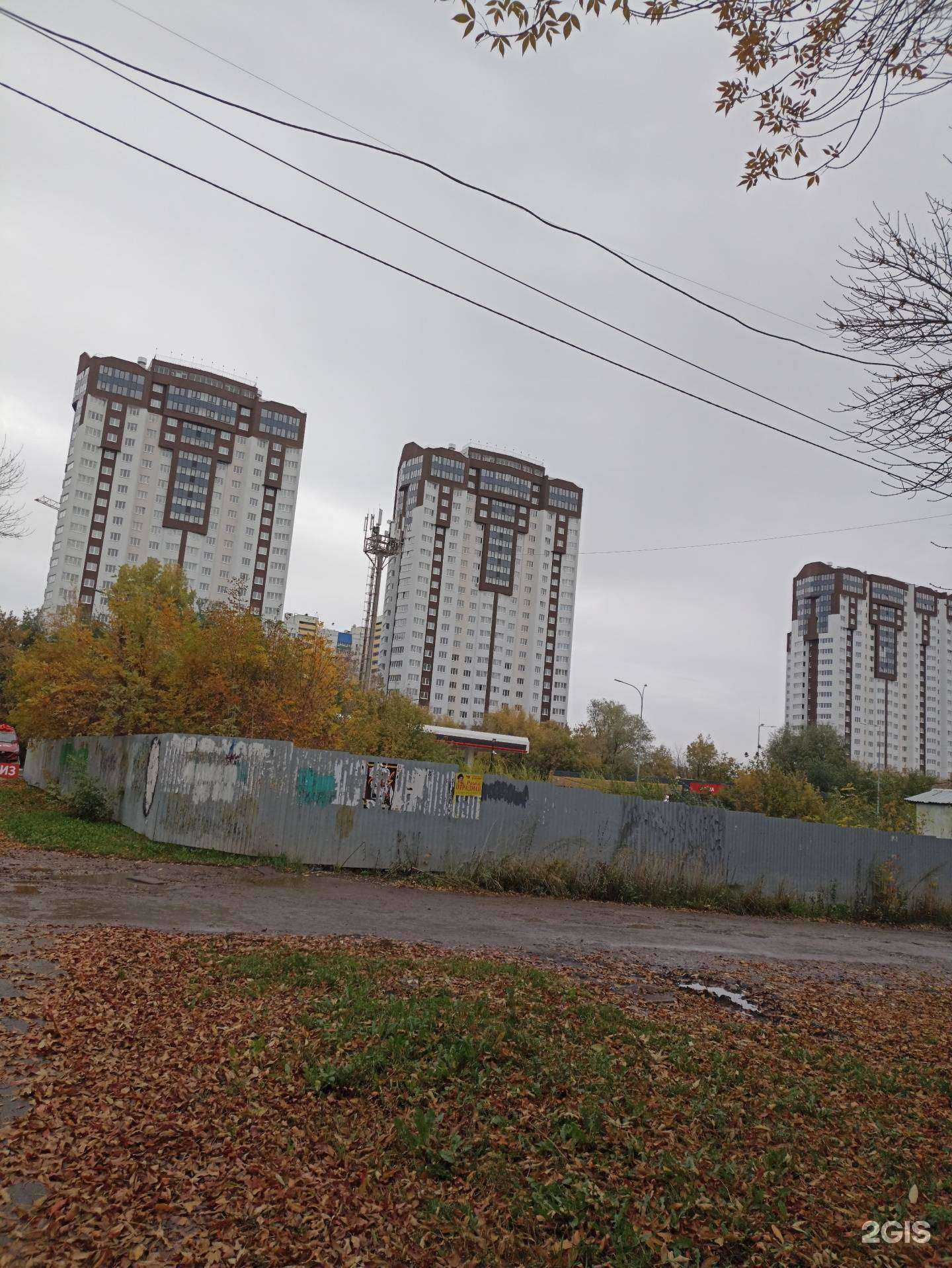 Отзывы на компанию IQ Dental Clinic в Самаре c фото - фотография 2 из 2