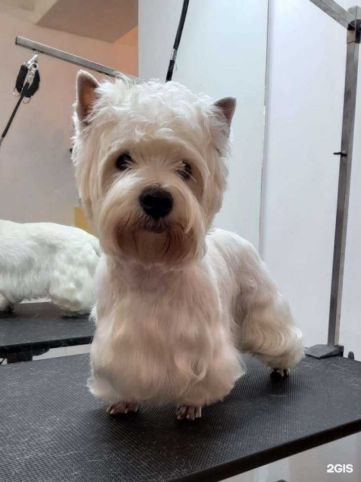 Отзывы на компанию Керри в Артёме c фото