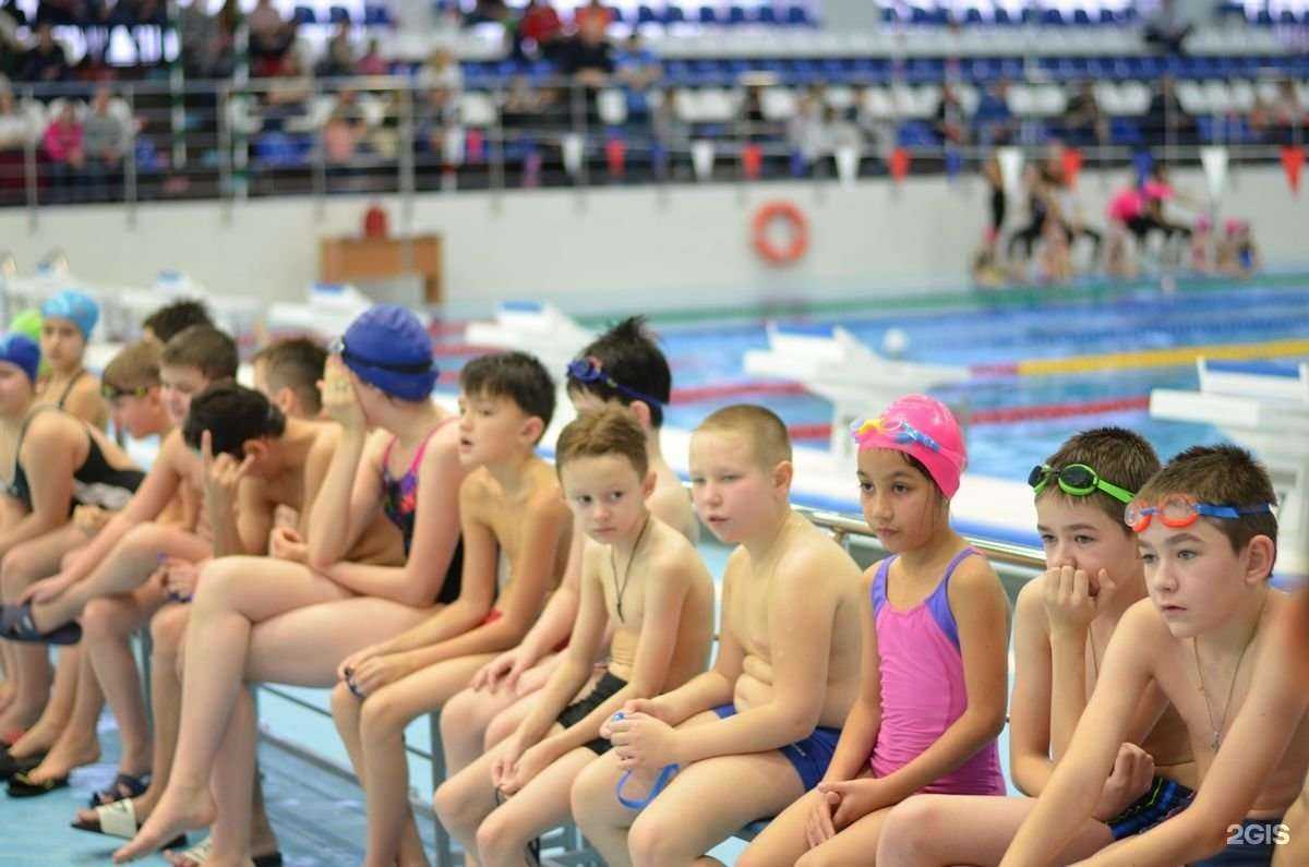 Отзывы на компанию Афалина в Сургуте c фото