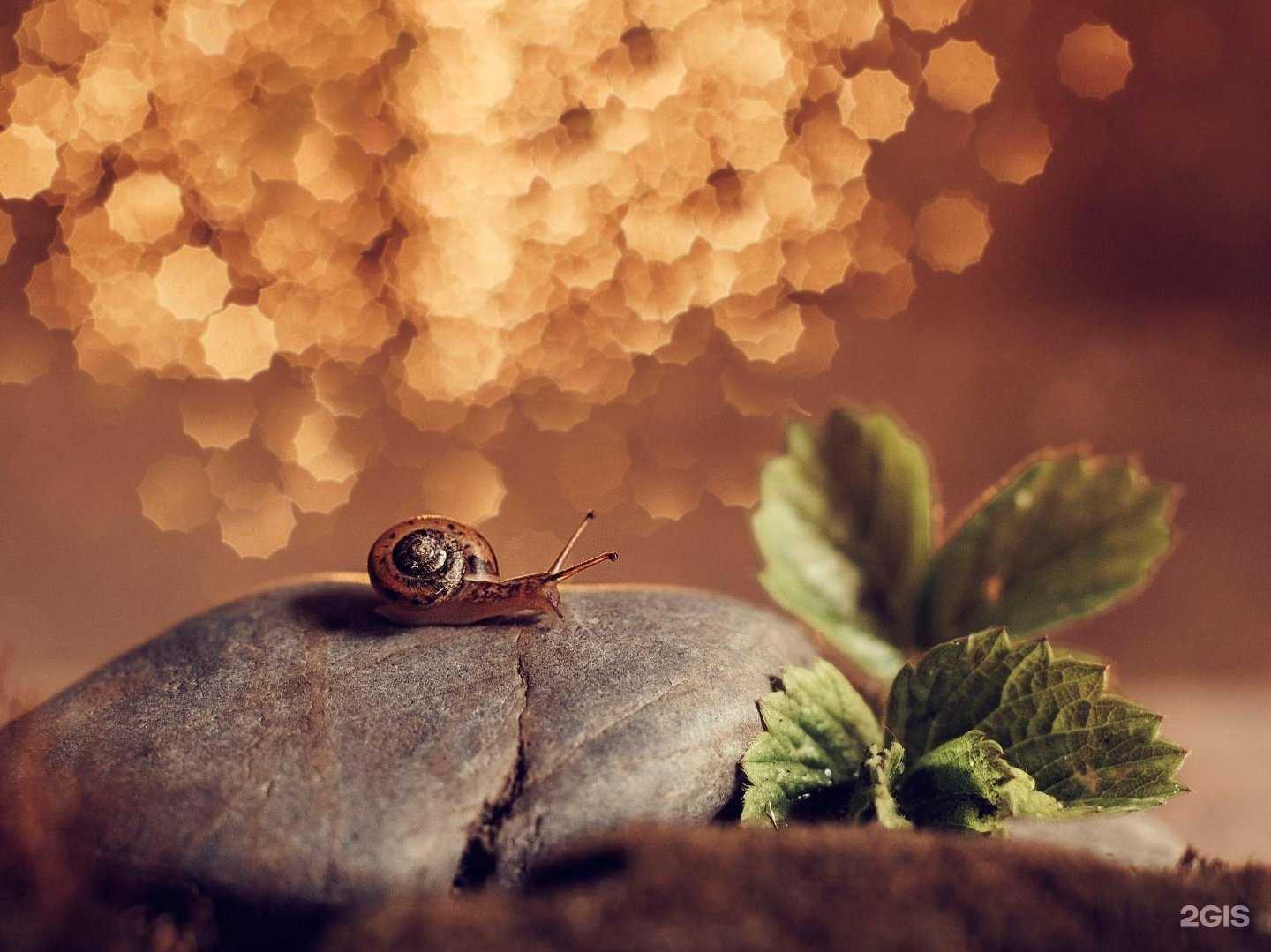 Отзывы на компанию Красногорский завод им. Зверева С.А. в г. Красногорск c фото