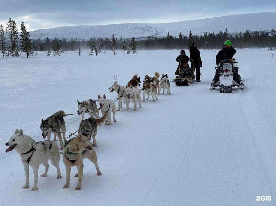 Отзывы на компанию Шато Табань в Петрозаводске c фото