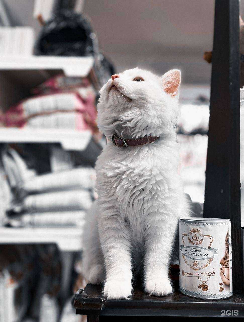 Отзывы на компанию Ветэкспресс в г. Тюмень c фото