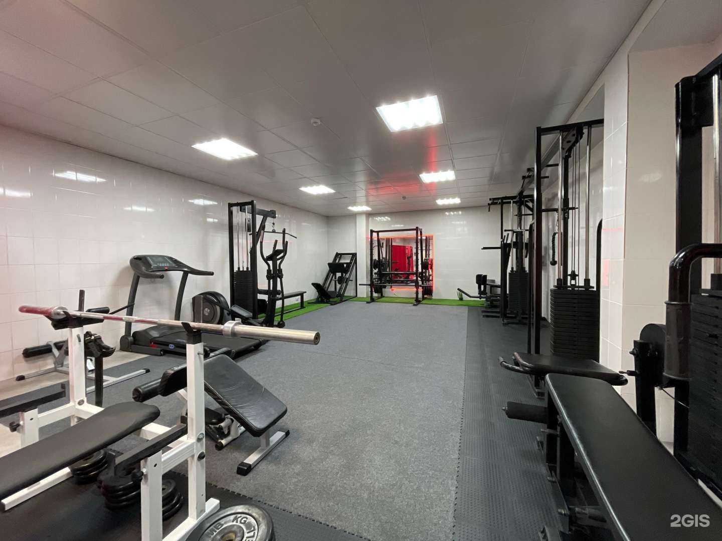 Отзывы на компанию Cat gym в г. Сочи c фото