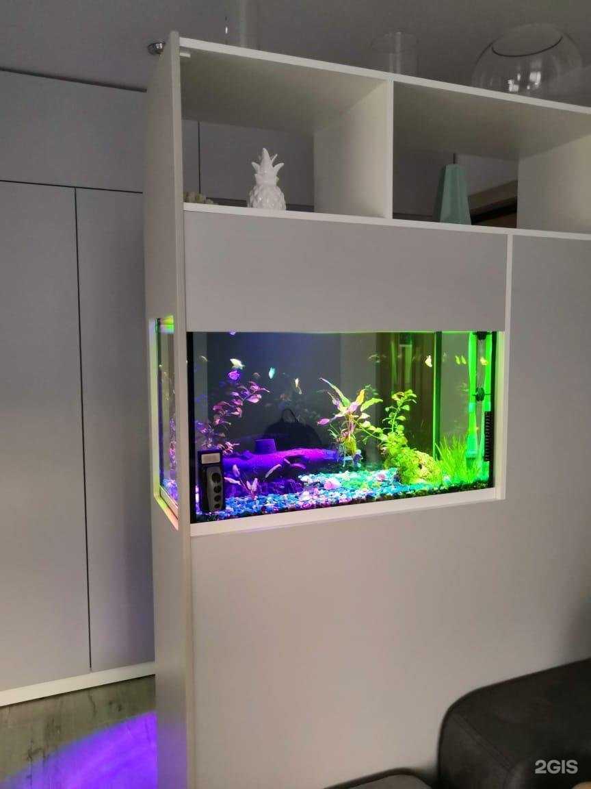 Отзывы на компанию АкваСфера в Красноярске c фото