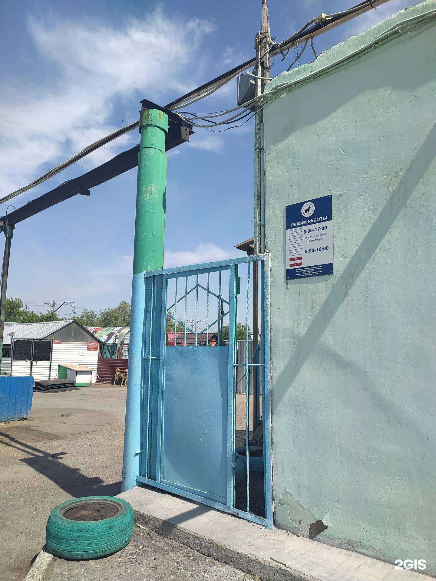 Отзывы на компанию Муниципальный приют для животных в Омске c фото