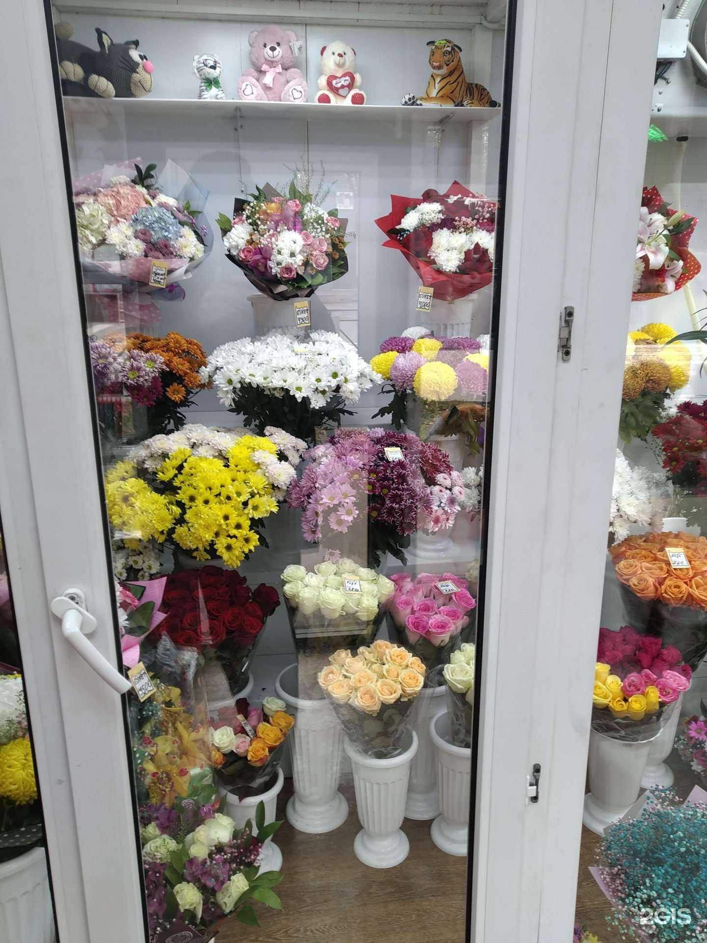 Отзывы на компанию 24 в Люберцах c фото