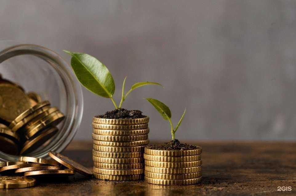 Отзывы на компанию Финансовый успех в г. Уссурийск c фото