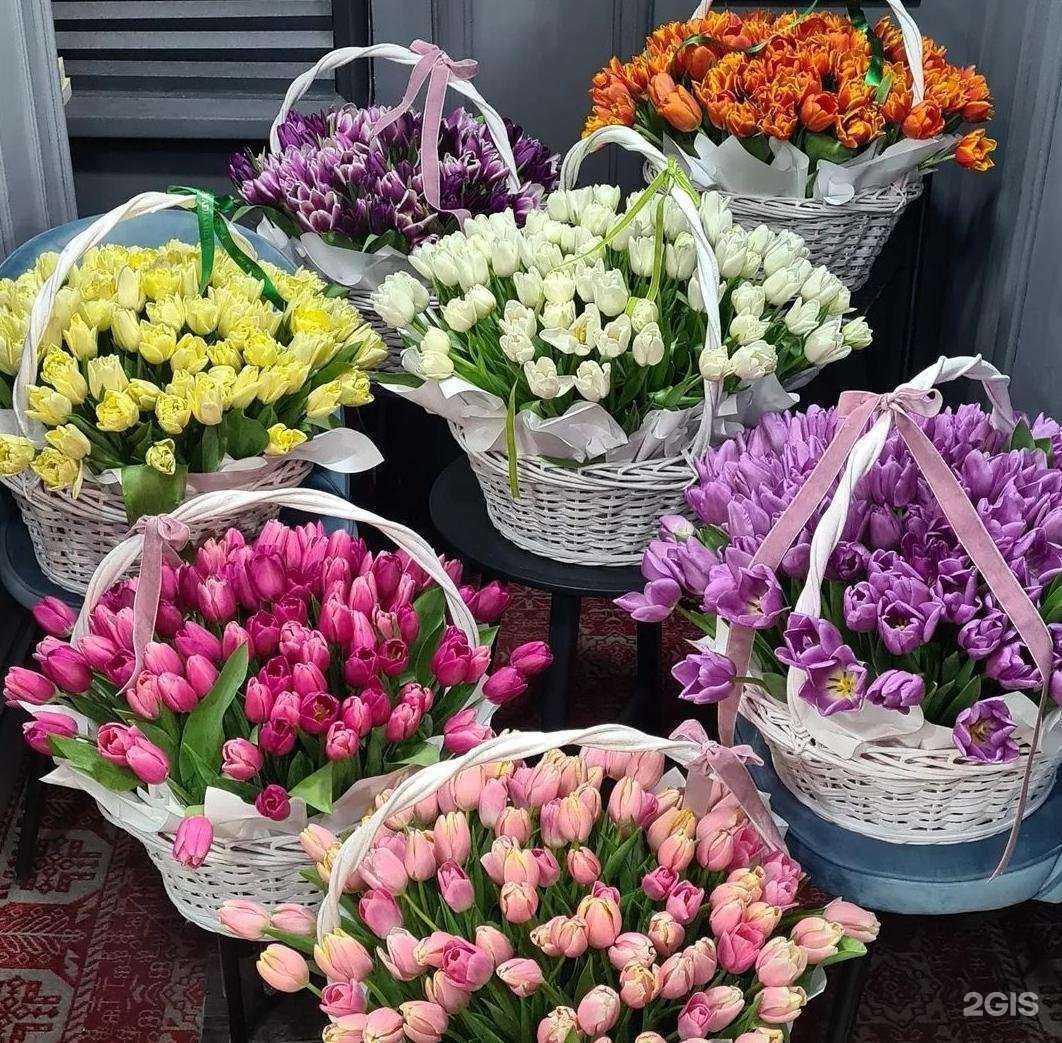 Отзывы на компанию Blumerist  в г. Екатеринбург c фото