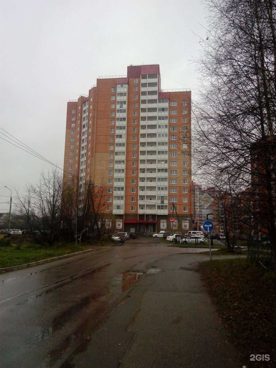 Отзывы на компанию Аптека Южная в Всеволожске c фото - фотография 2 из 2