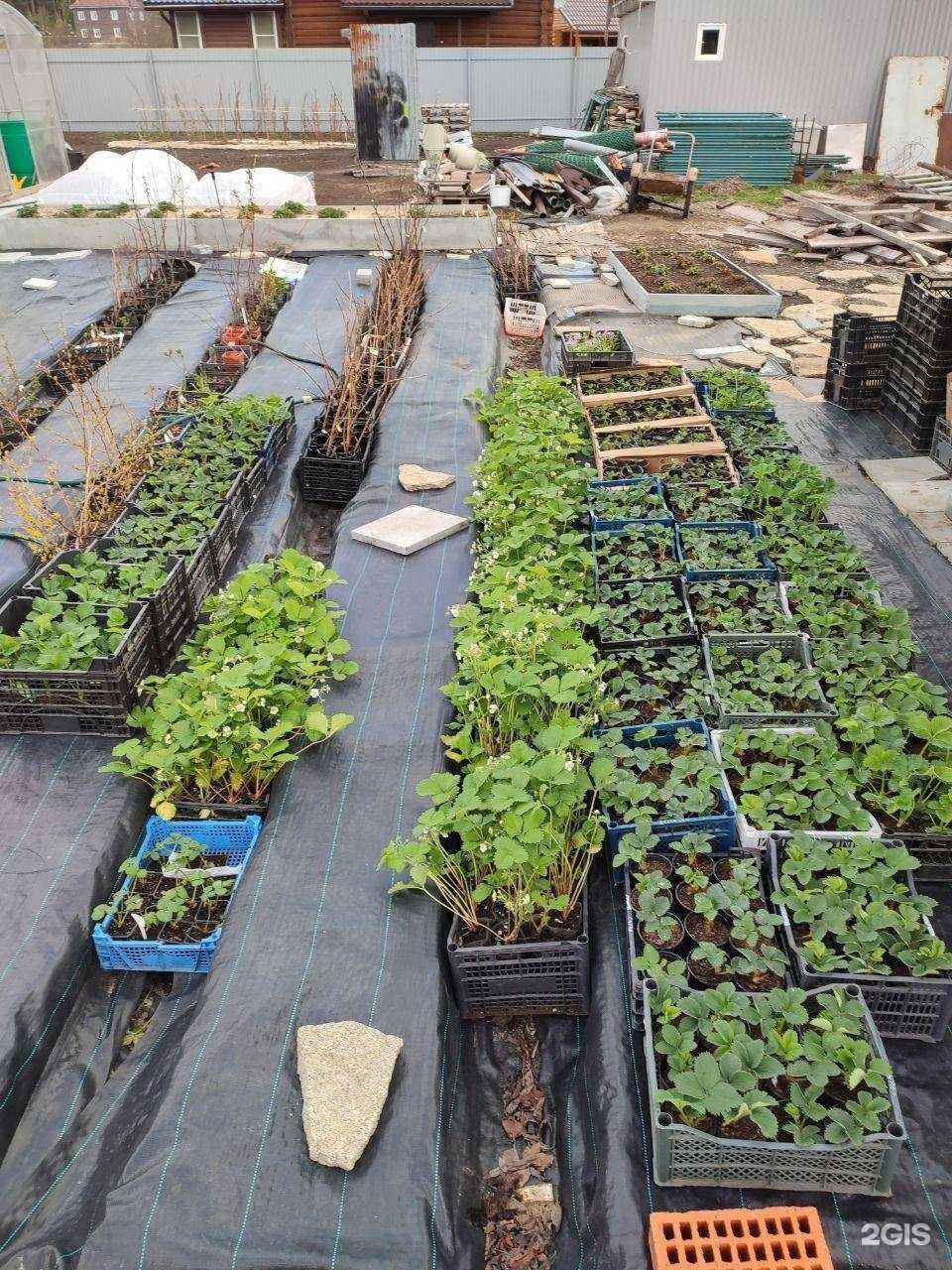 Отзывы на компанию Экостиль в Екатеринбурге c фото