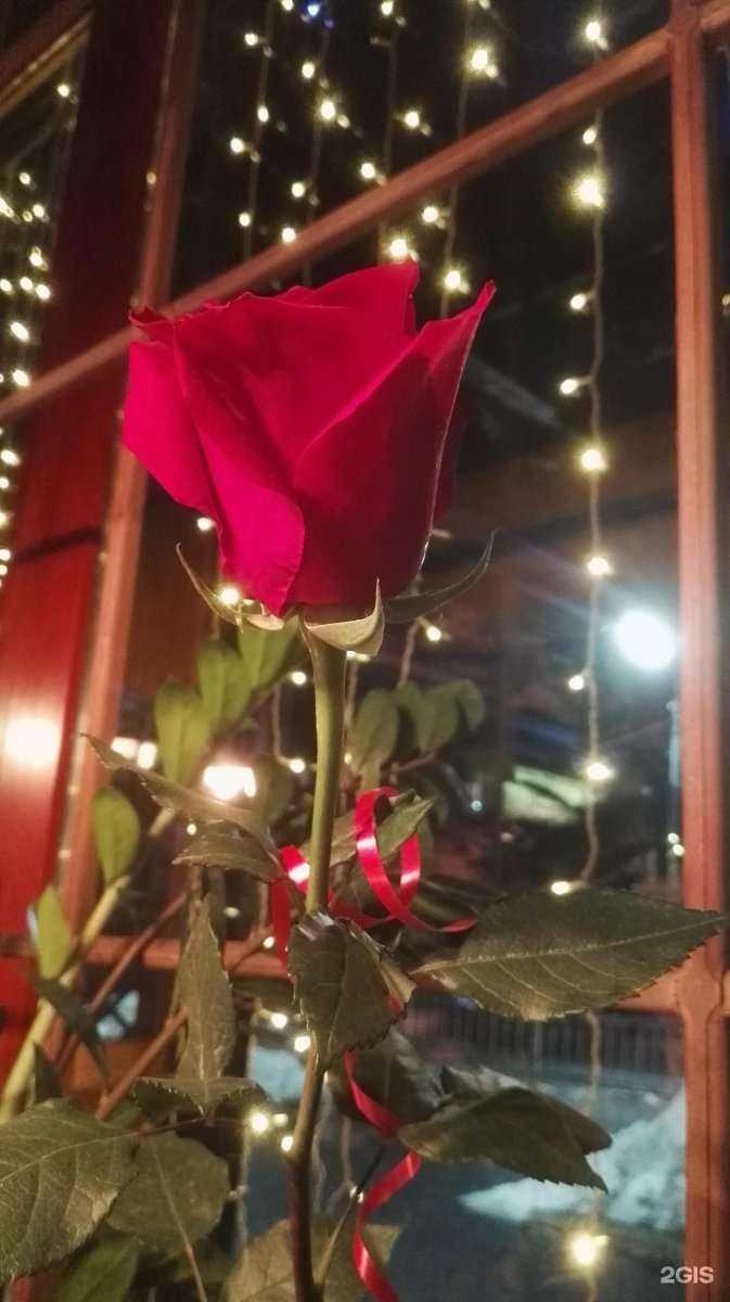 Отзывы на компанию Мир цветов в Орле c фото