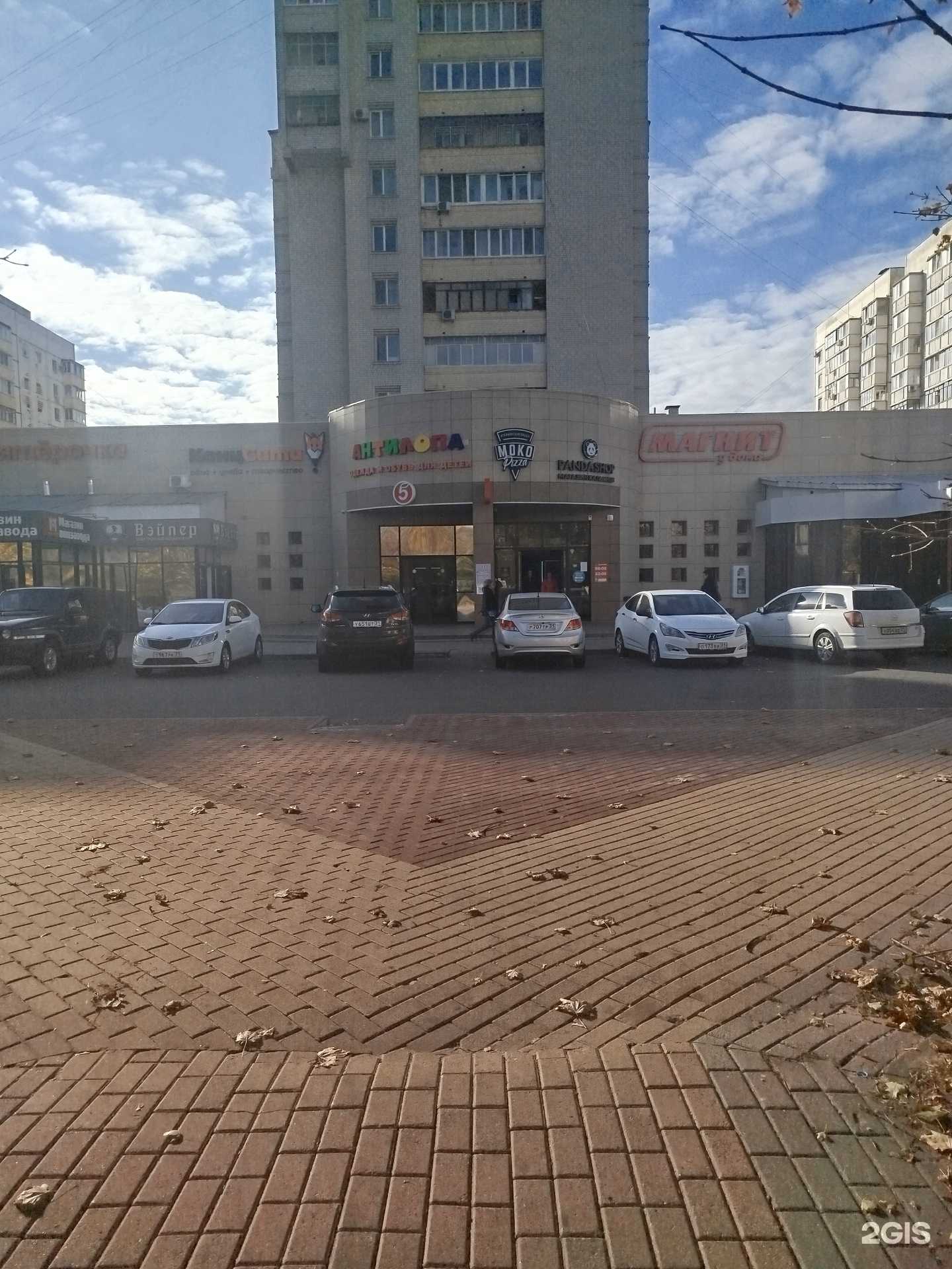 Отзывы на компанию Moko rolls в г. Белгород c фото