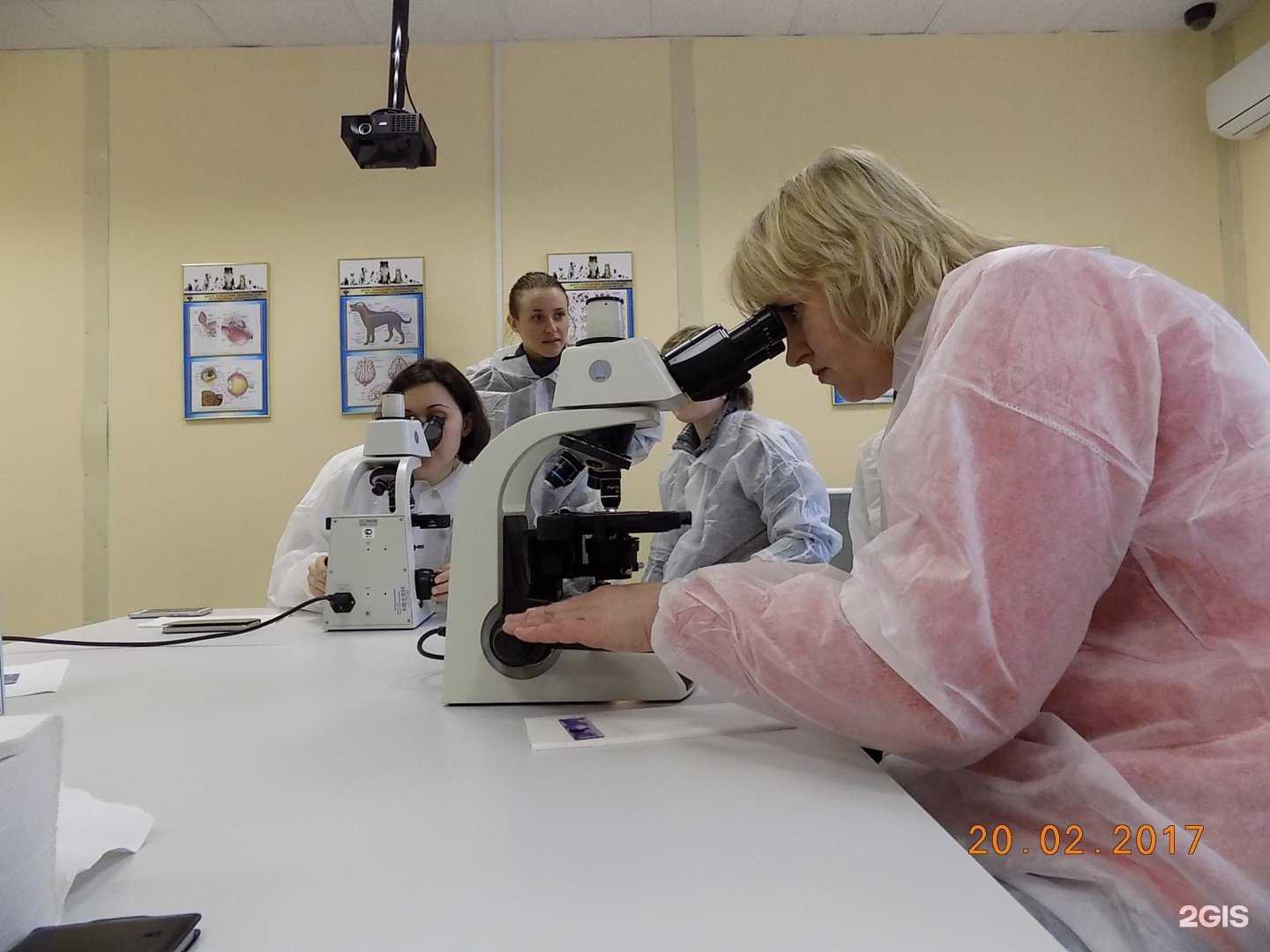 Отзывы на компанию Ветеринарный центр патоморфологии и лабораторной диагностики доктора Н.В. Митрохиной в Туле c фото
