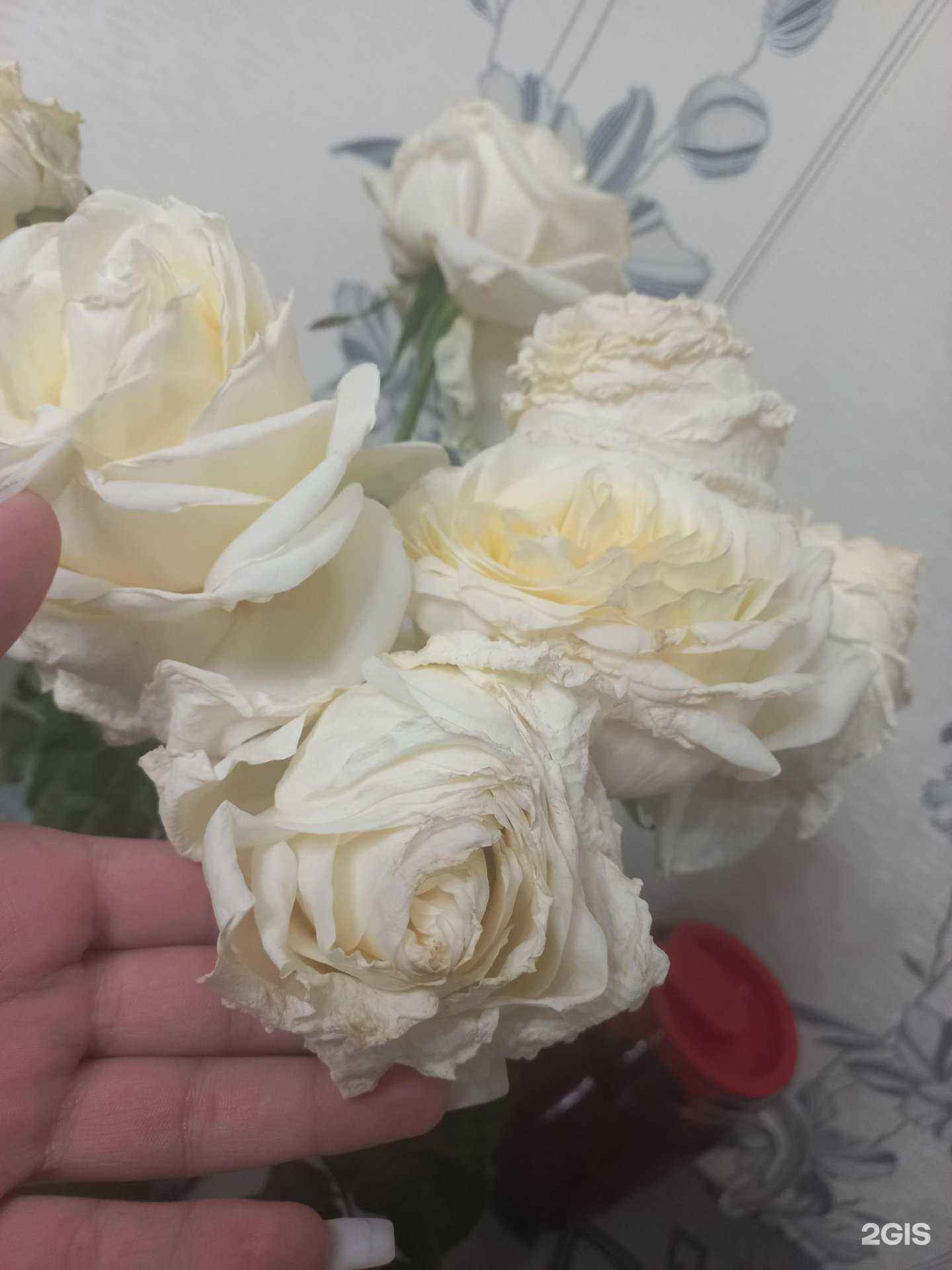 Отзывы на компанию Бамбук в г. Ангарск c фото