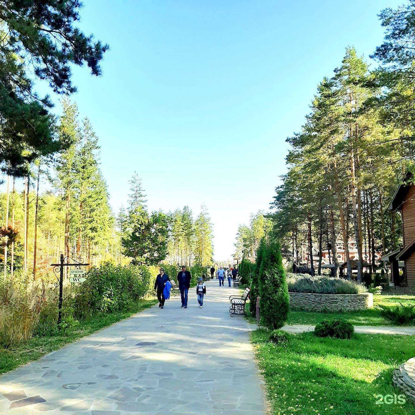 Отзывы на компанию Александрия в Тамбове c фото