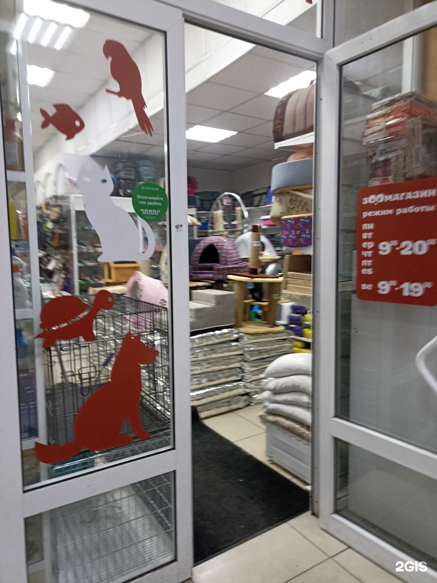 Отзывы на компанию Зоомагазин в г. Челябинск c фото