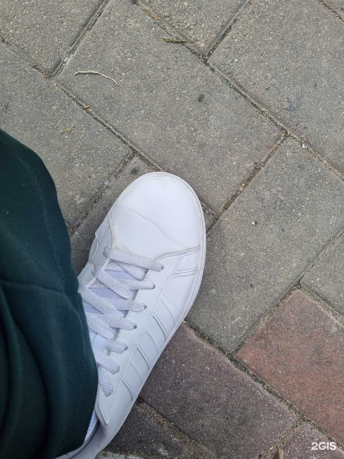 Отзывы на компанию Lamoda Sport в г. Геленджик c фото