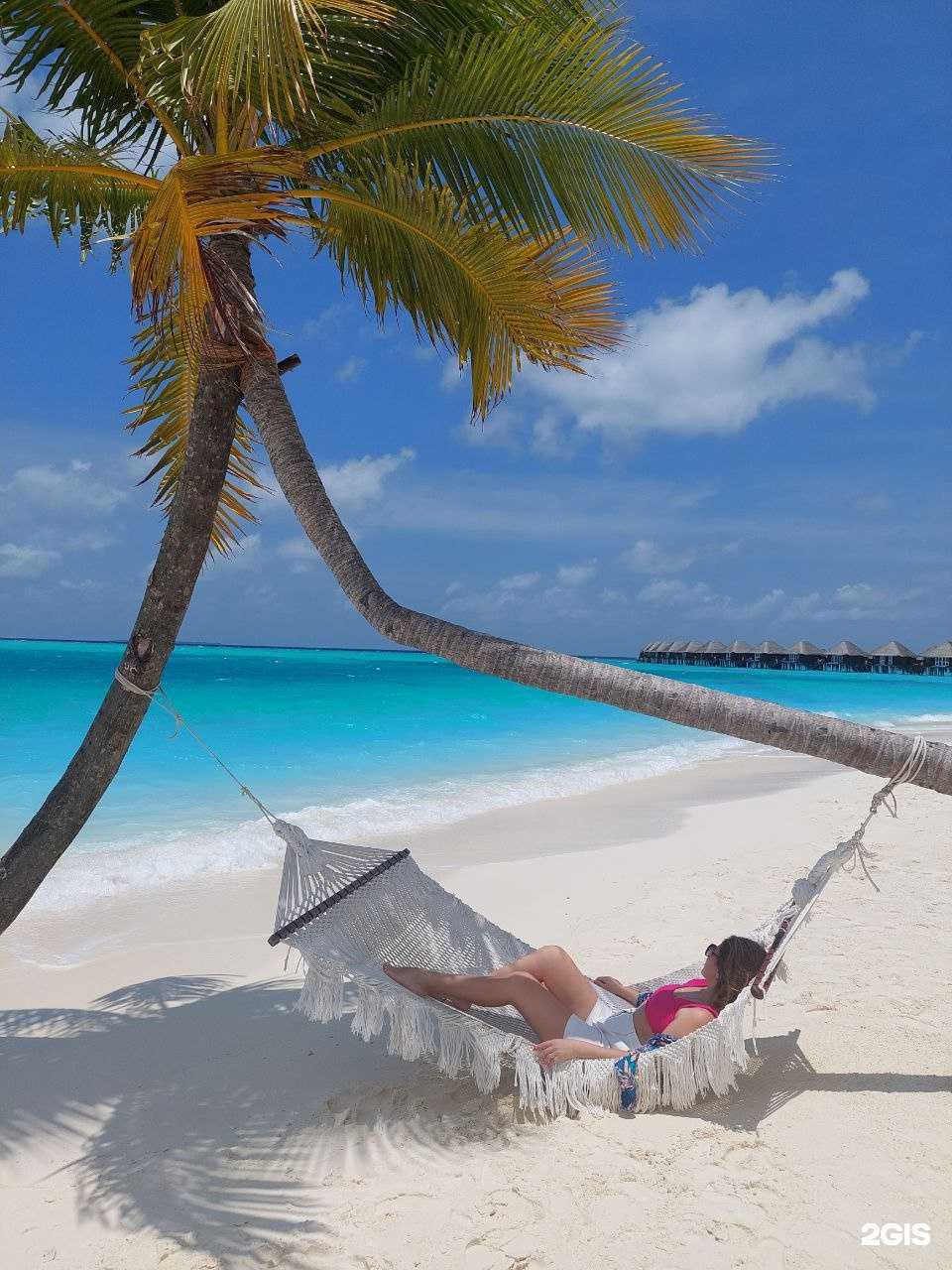 Отзывы на компанию Амазон-тур в г. Коммунарка c фото