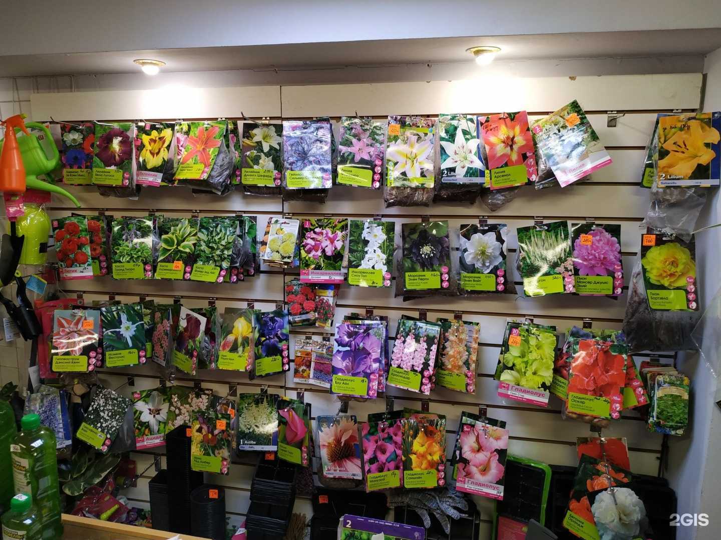 Отзывы на компанию Чудесный сад в Каменске-Уральском c фото