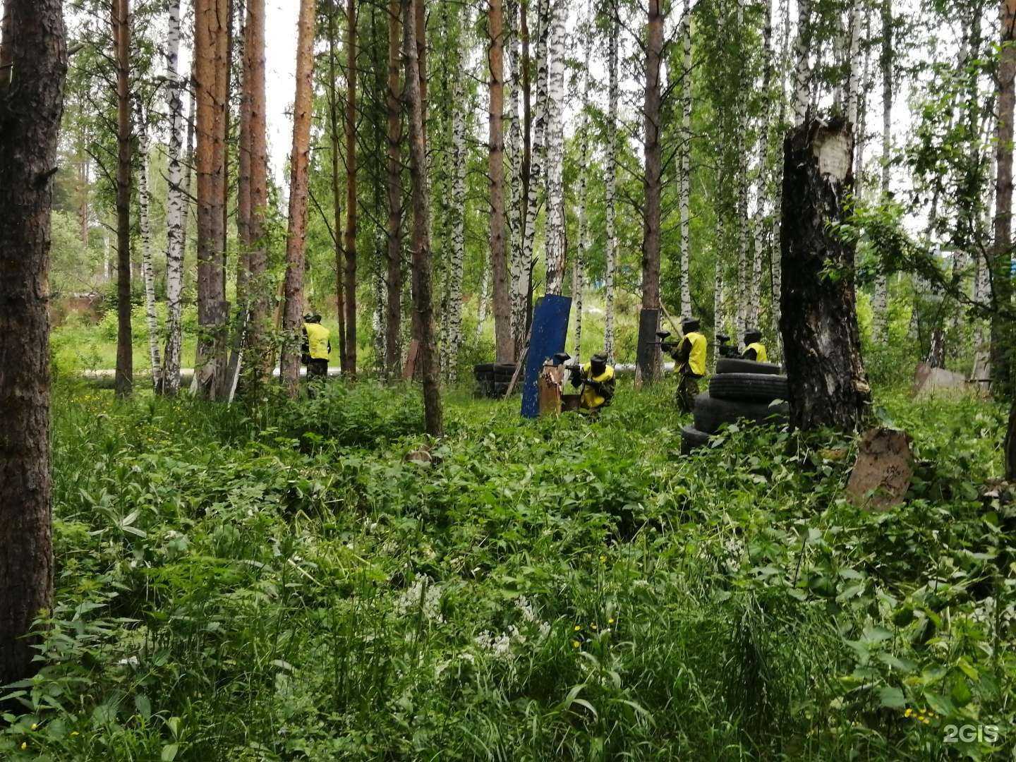 Отзывы на компанию Веселый прапор в г. Томск c фото