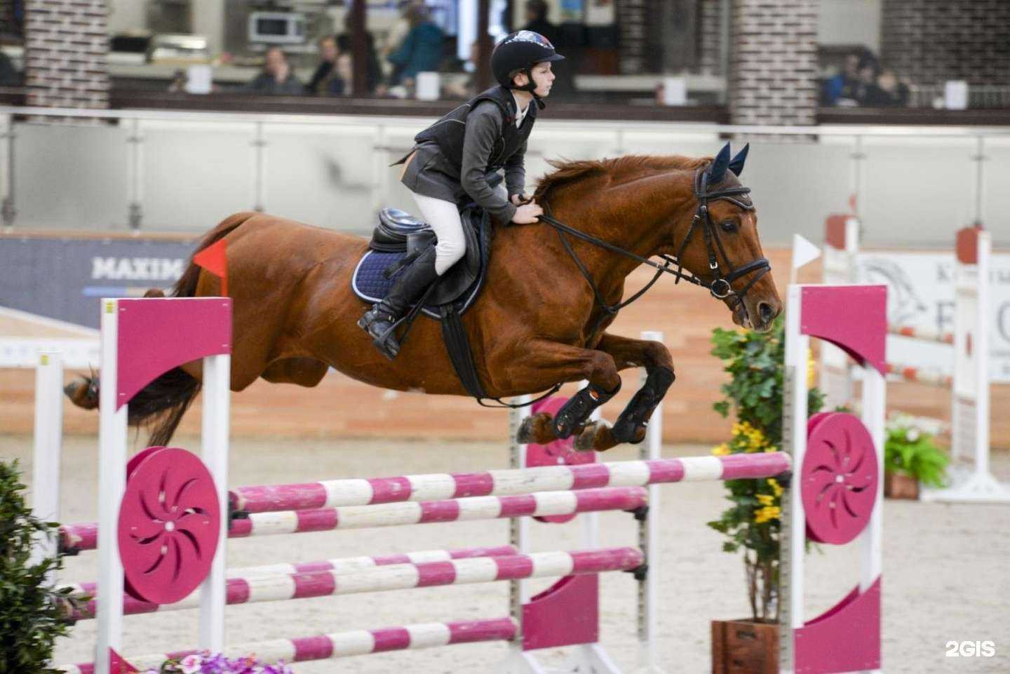 Отзывы на компанию СШОР по летним видам спорта в г. Химки c фото