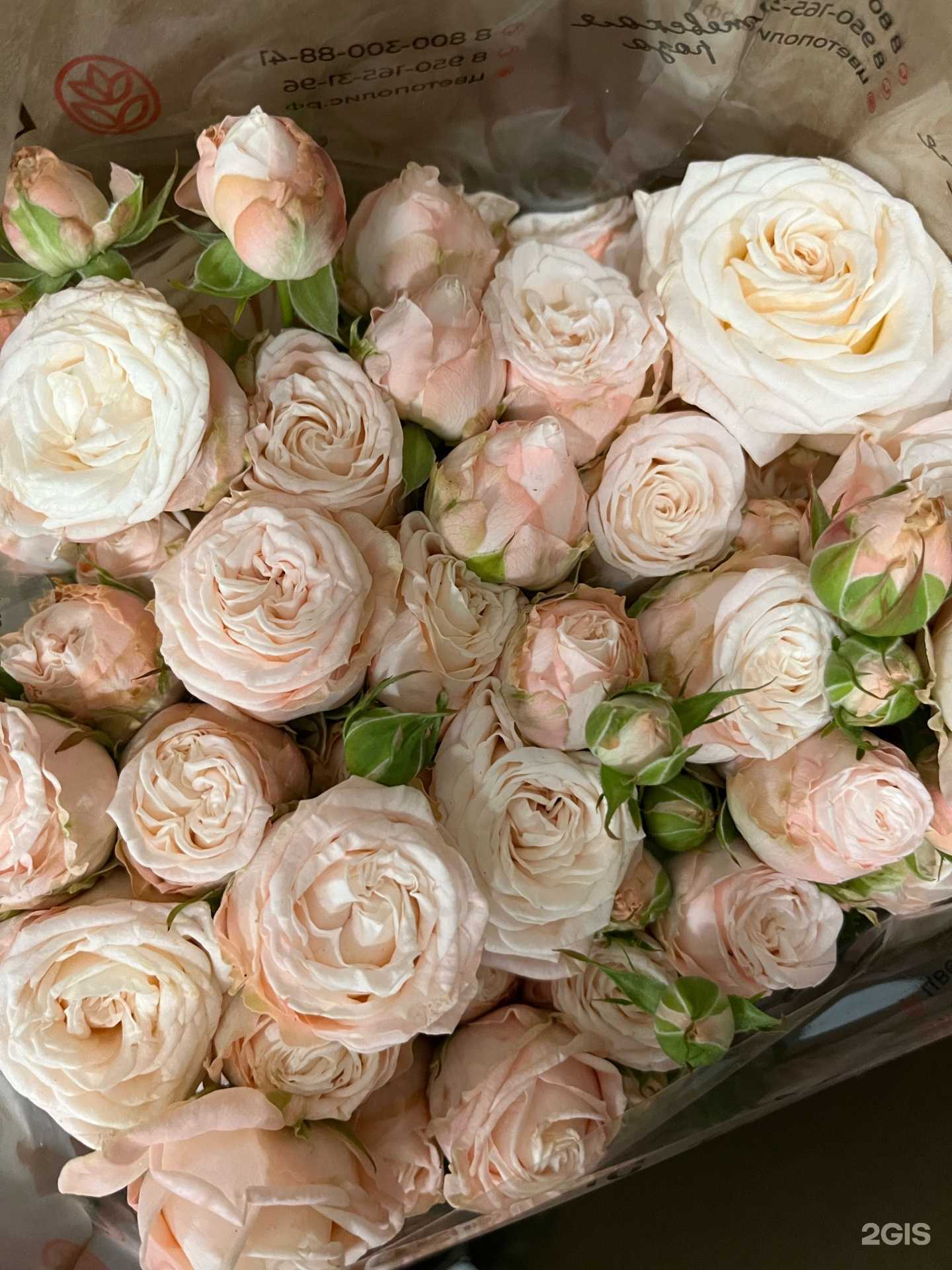 Отзывы на компанию Цветочная база в г. Рязань c фото