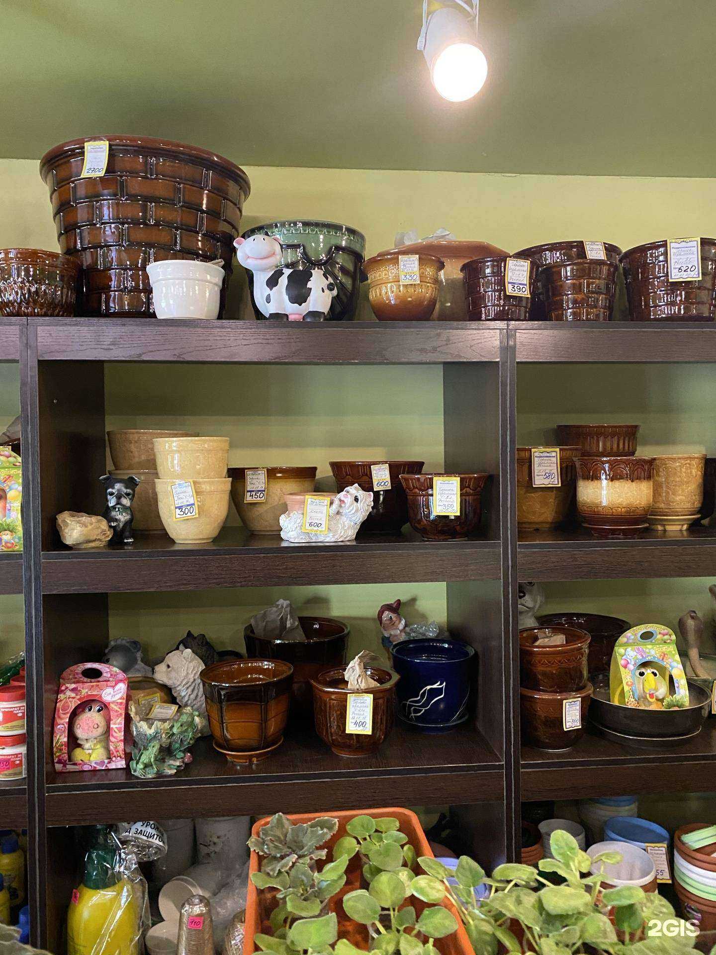 Отзывы на компанию Садовница в Чите c фото