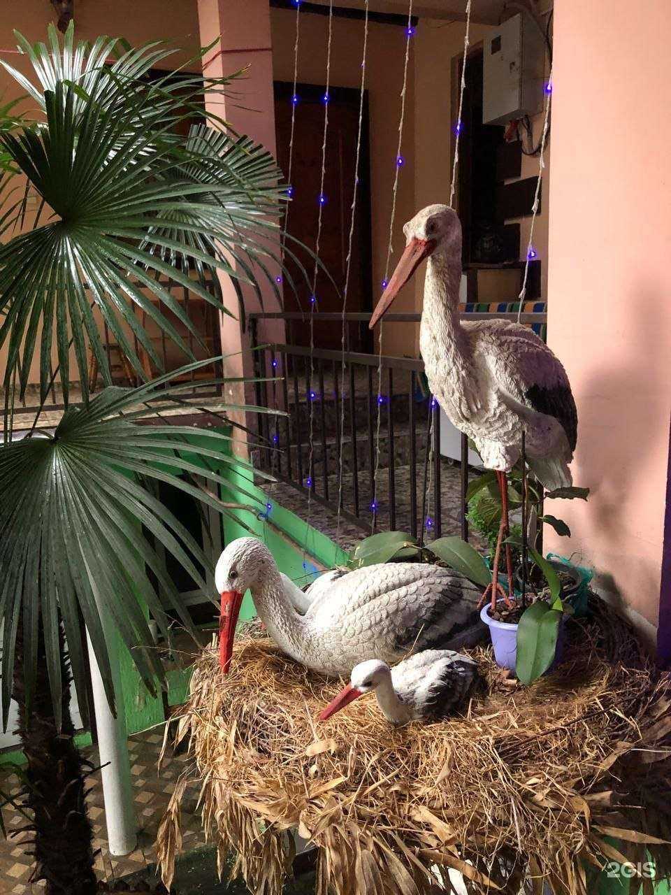 Отзывы на компанию Песок, море, солнце в Сочи c фото