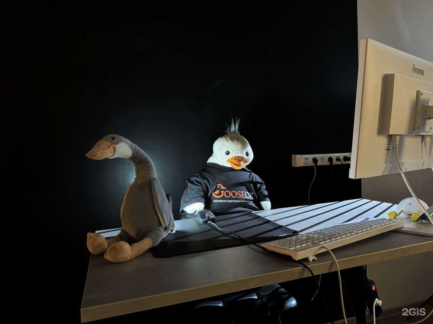 Отзывы на компанию Gooseok в Волгограде c фото