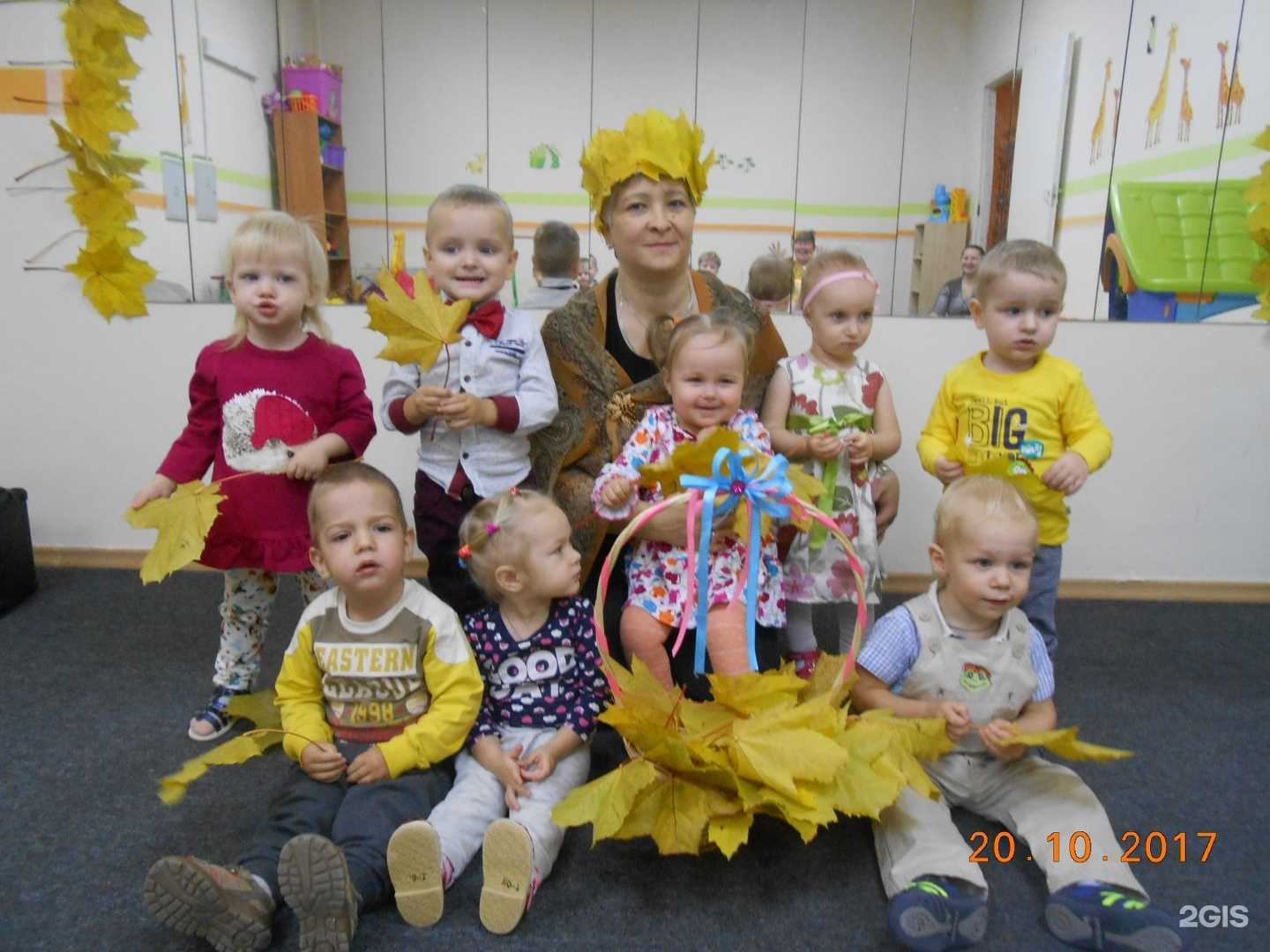 Отзывы на компанию Кенгуру в Вологде c фото