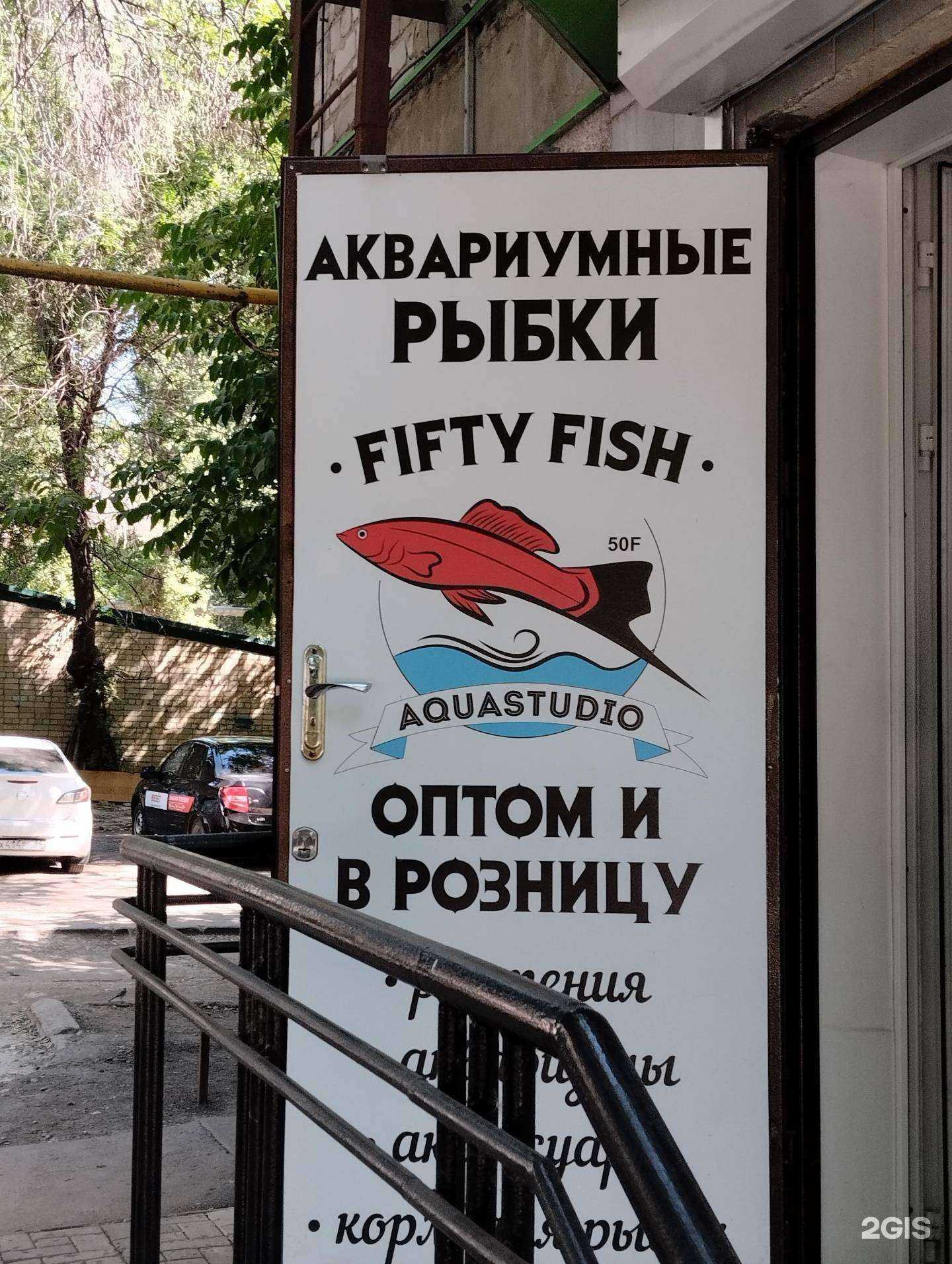 Отзывы на компанию Fifty Fish в г. Саратов c фото