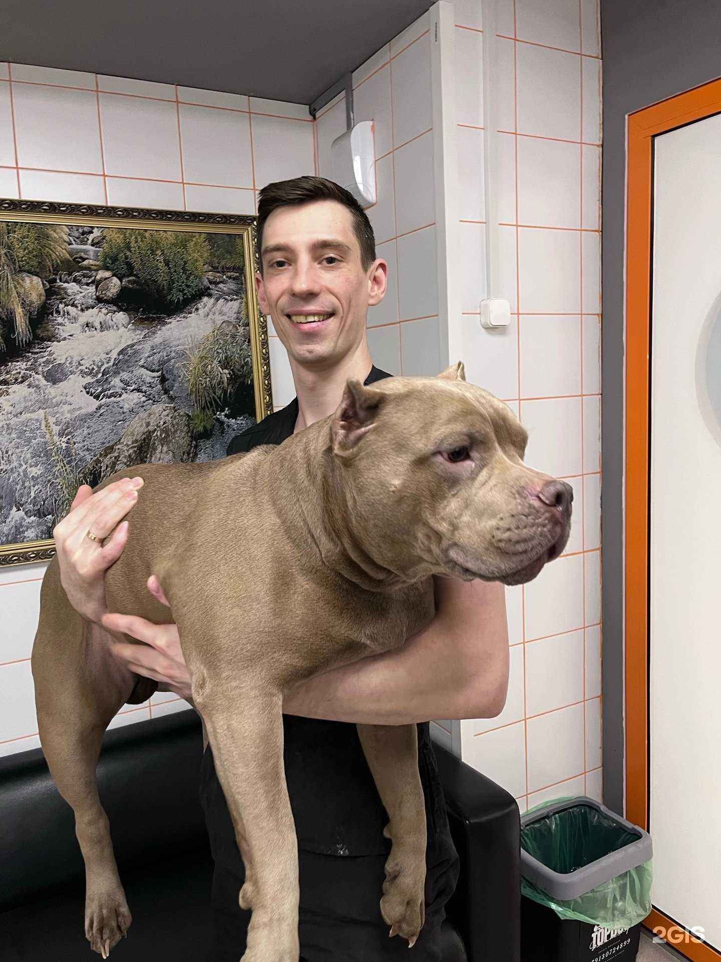 Отзывы на компанию TopDog в Томске c фото