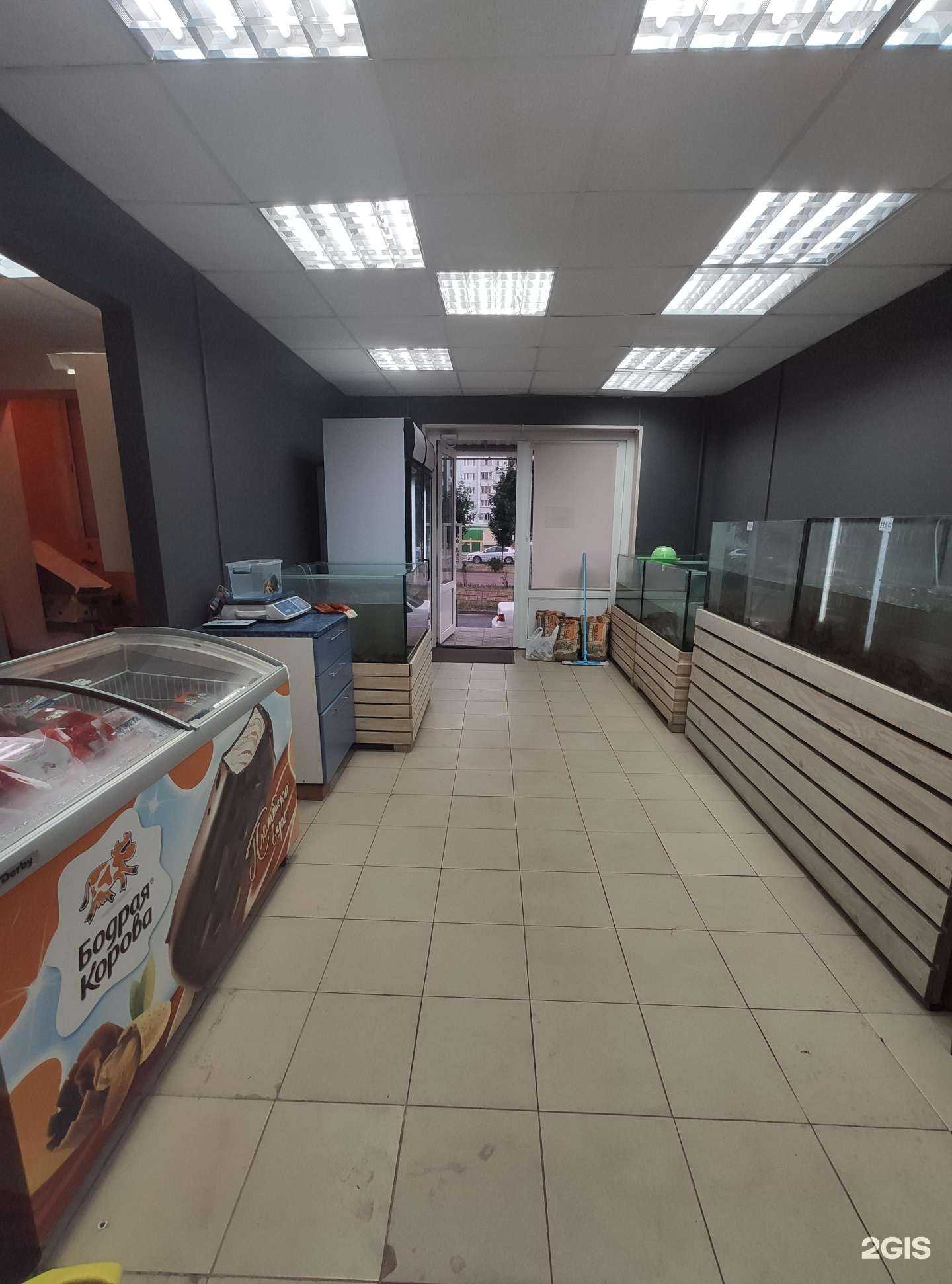 Отзывы на компанию Дикий рак в Воронеже c фото