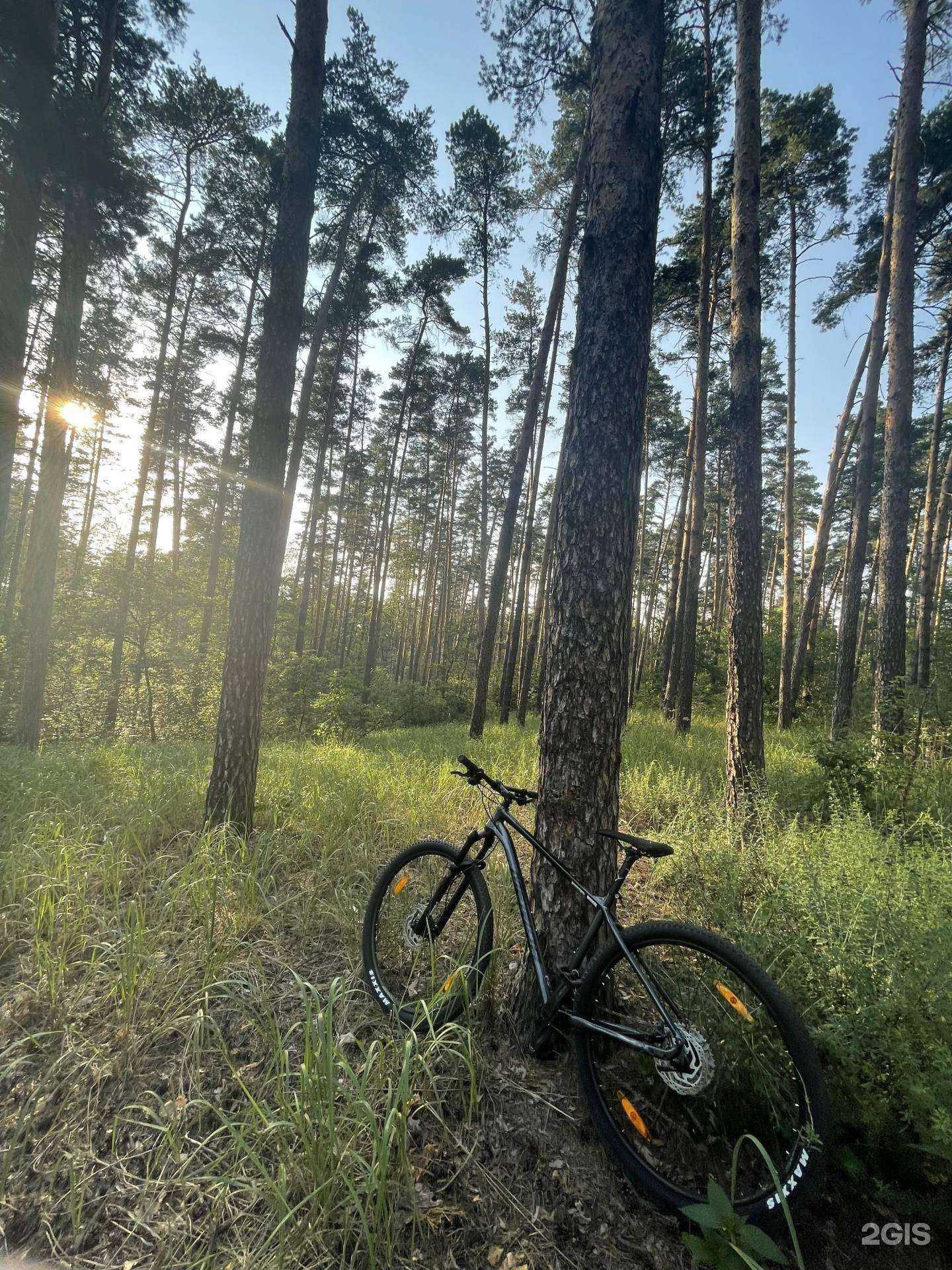 Отзывы на компанию SportVital в г. Воронеж c фото