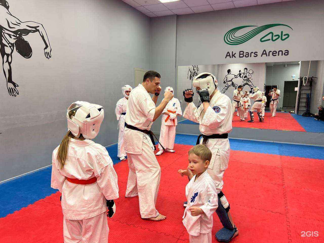 Отзывы на компанию Национальный союз каратэ кекусин кайкан в Казани c фото