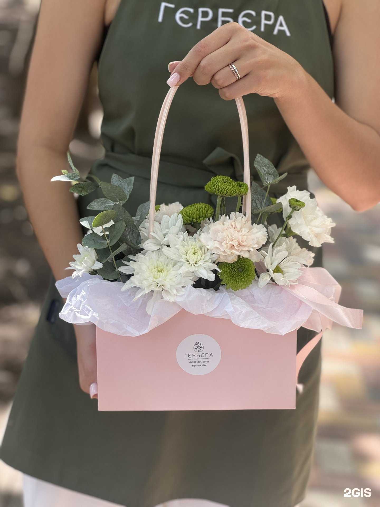 Отзывы на компанию Гербера в Ставрополе c фото