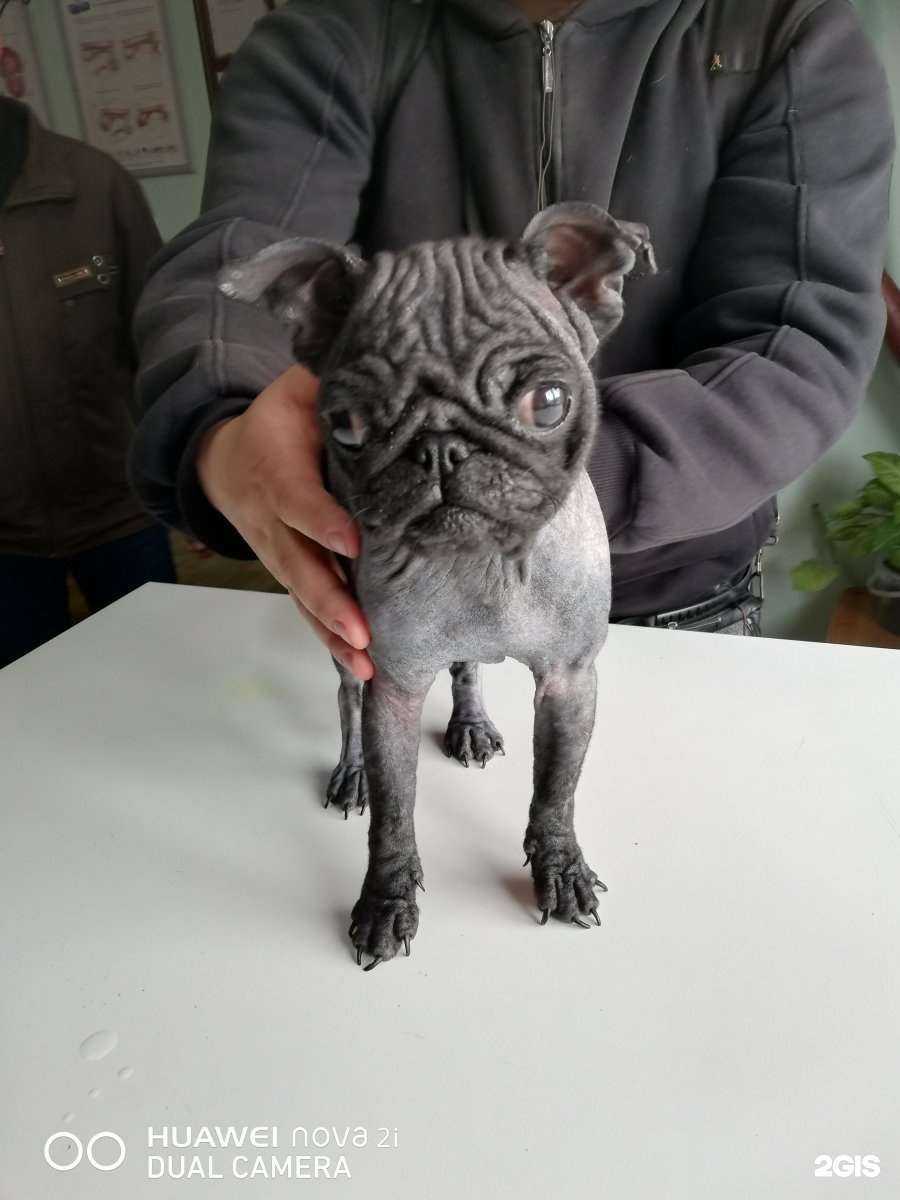 Отзывы на компанию Витаминка в г. Великий Новгород c фото