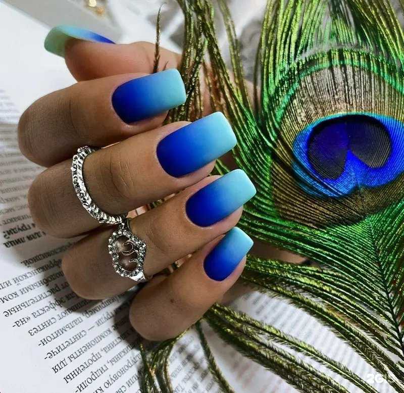 Отзывы на компанию Мохито в г. Саратов c фото