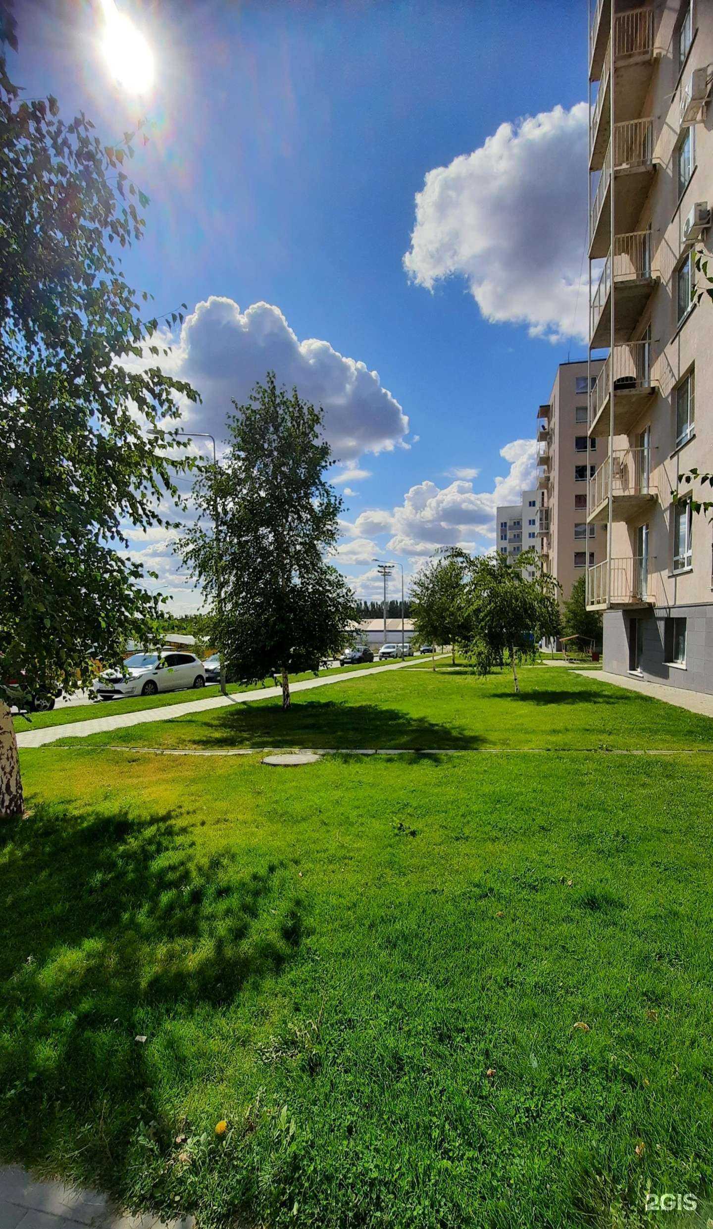 Отзывы на компанию Danio в Волгограде c фото - фотография 2 из 2