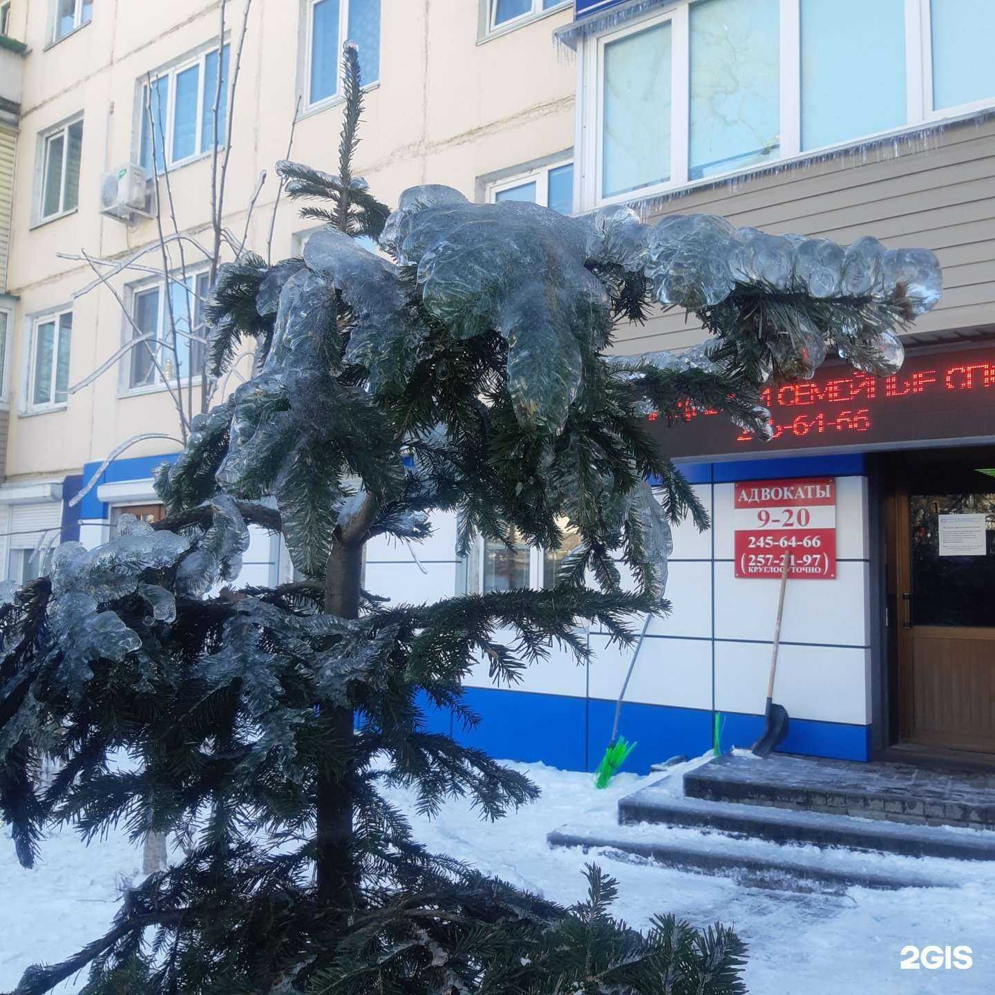 Отзывы на компанию Тихоокеанская коллегия адвокатов Приморского края в г. Владивосток c фото