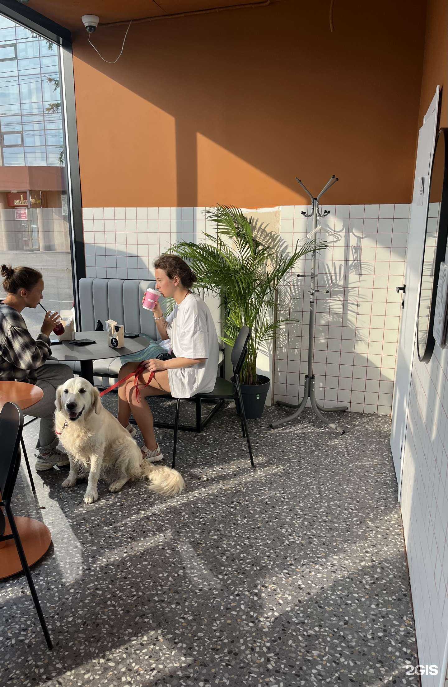 Отзывы на компанию smart day в Иркутске c фото