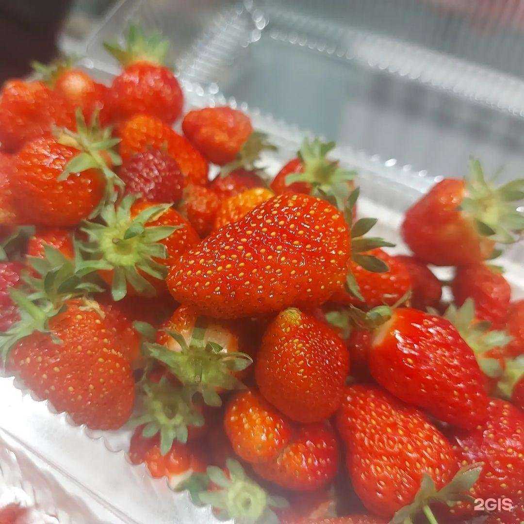 Отзывы на компанию Нива в г. Хабаровск c фото