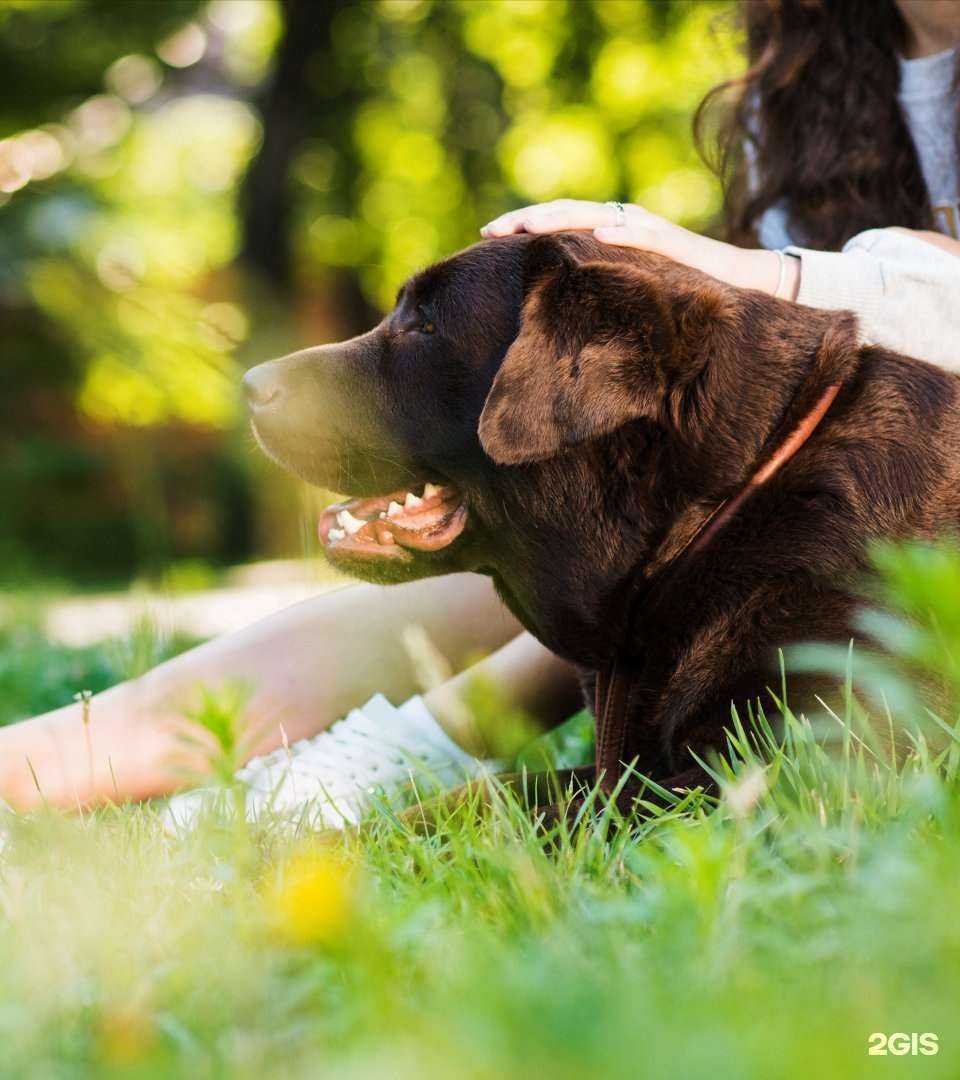 Отзывы на компанию Зooрай в г. Ялуторовск c фото