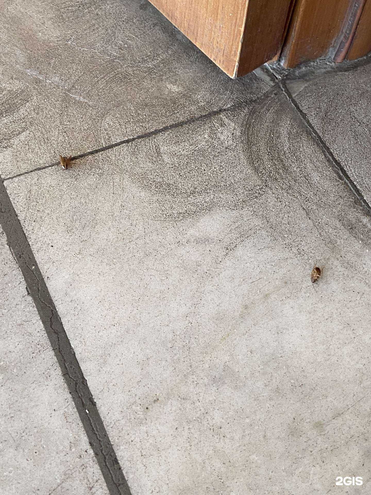 Отзывы на компанию Университетская в Ульяновске c фото