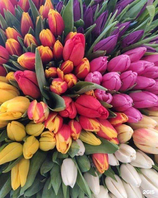 Отзывы на компанию Магазин цветов в Балашихе c фото