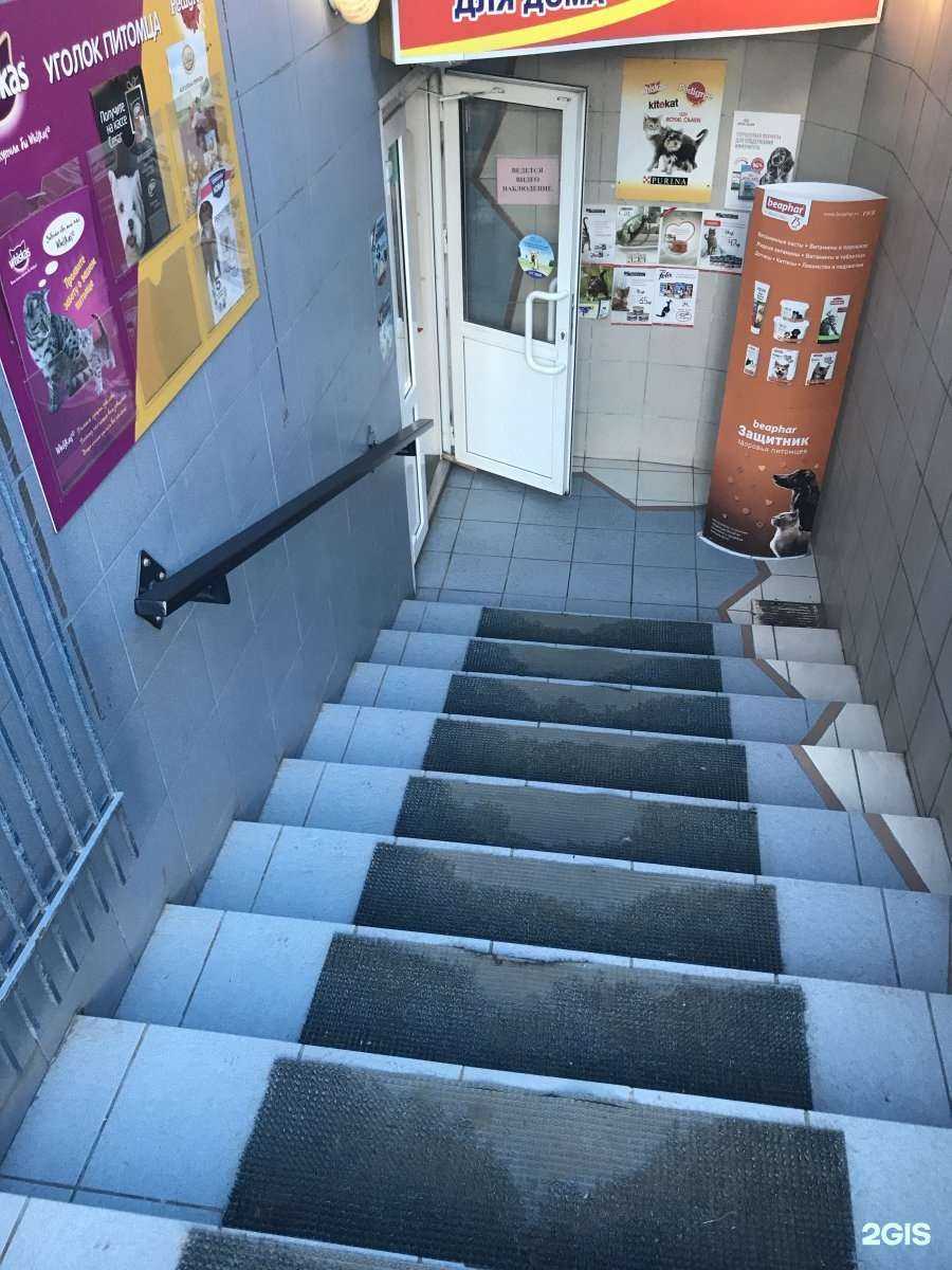 Отзывы на компанию Магазин зоотоваров в Красноярске c фото