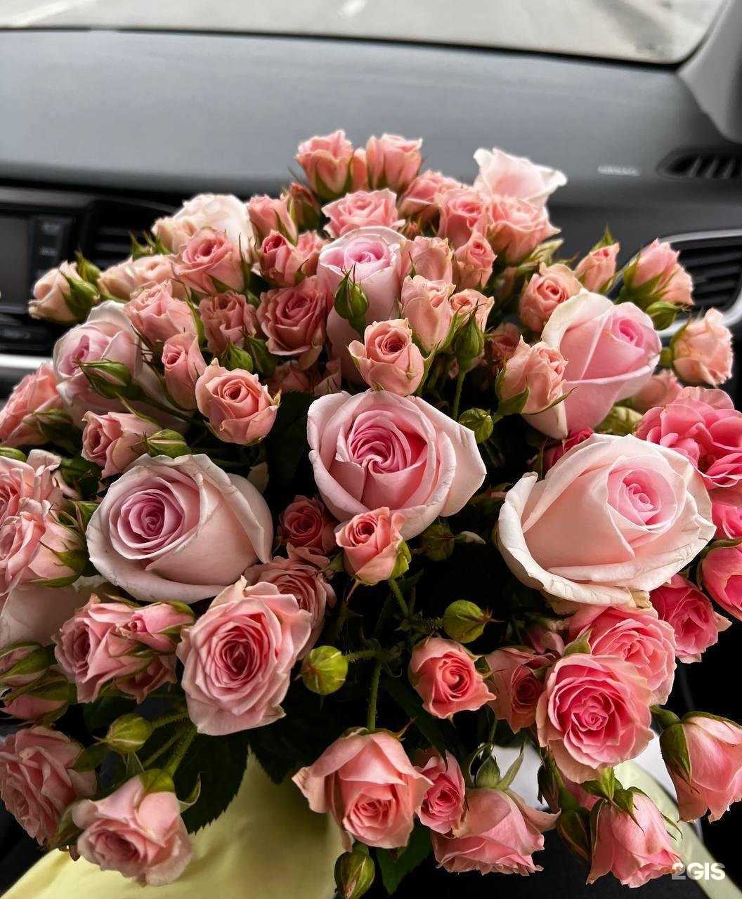 Отзывы на компанию Ботаника в Белгороде c фото